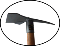 CC Picks Discoverer.   in stock